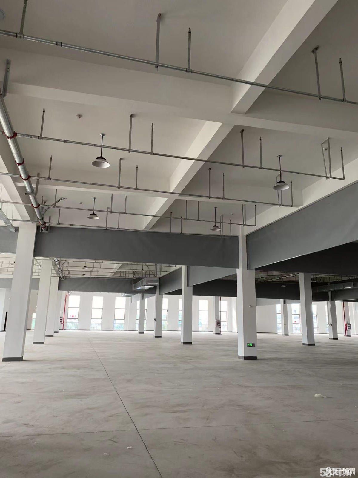 越江路全新廠房出租20000平(可分租)-圖(4)