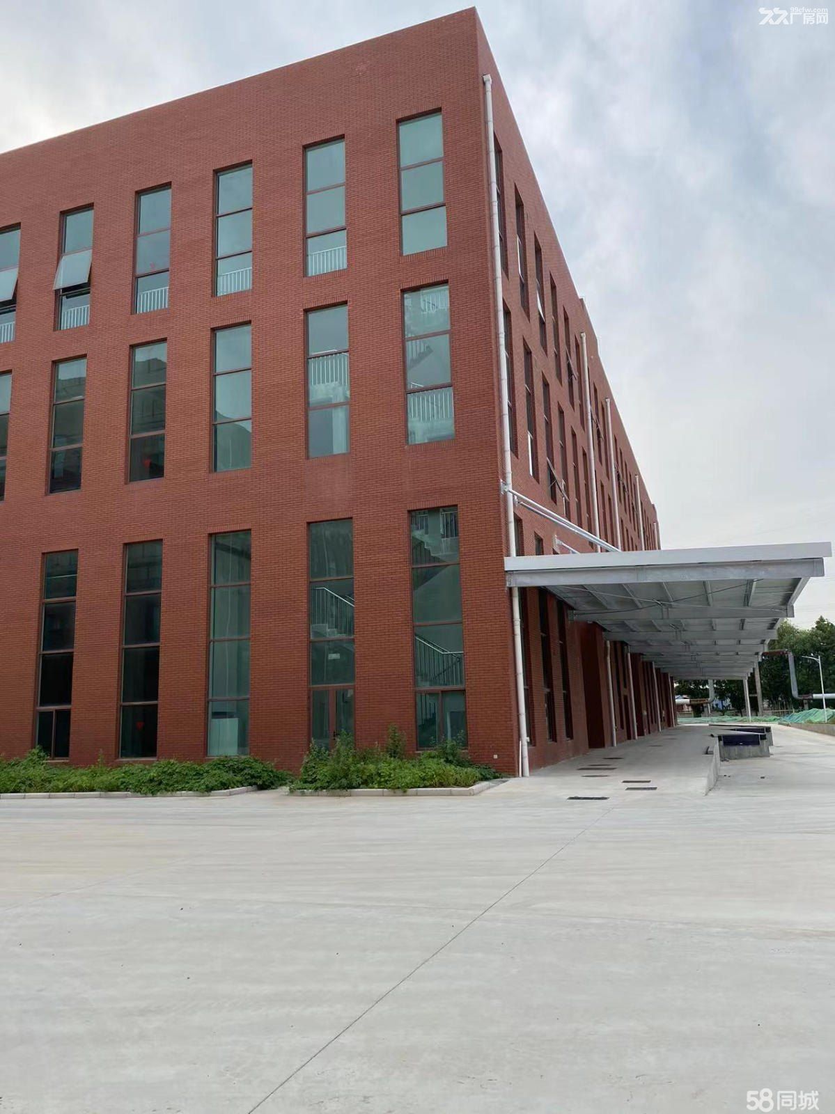 越江路全新廠房出租20000平(可分租)-圖(7)