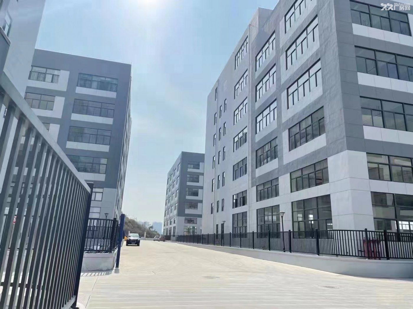 海安單雙層產品,超大院子,價格比市面上低 , 可租可售-圖(5)