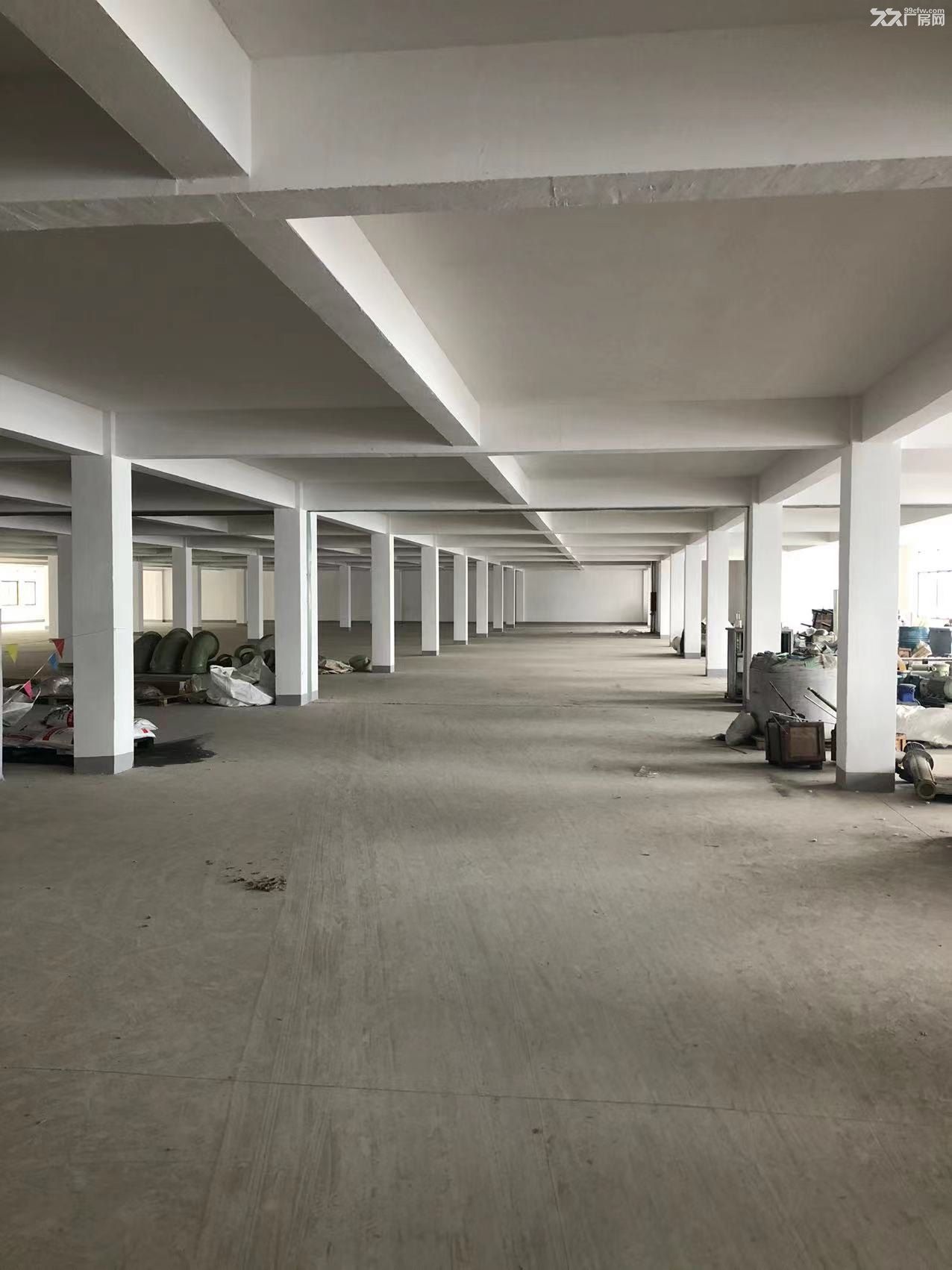 南通開發(fā)區(qū)廠房&倉庫出租(層高4米，長24米，寬18米)-圖（3）