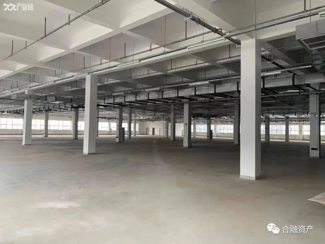 樓板荷載750KG/㎡,每棟廠房配備2部載重2噸客-圖(4)