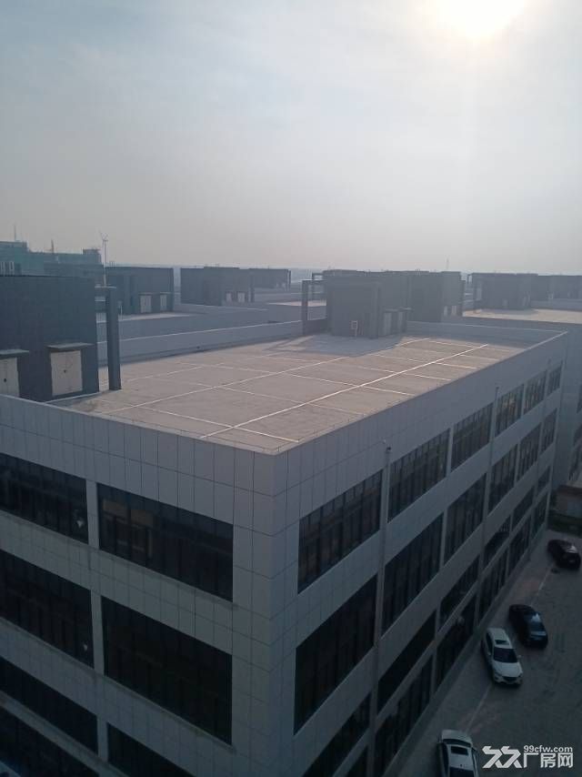 全新獨門獨院廠房出售 贈送花園 可按揭-圖(1)