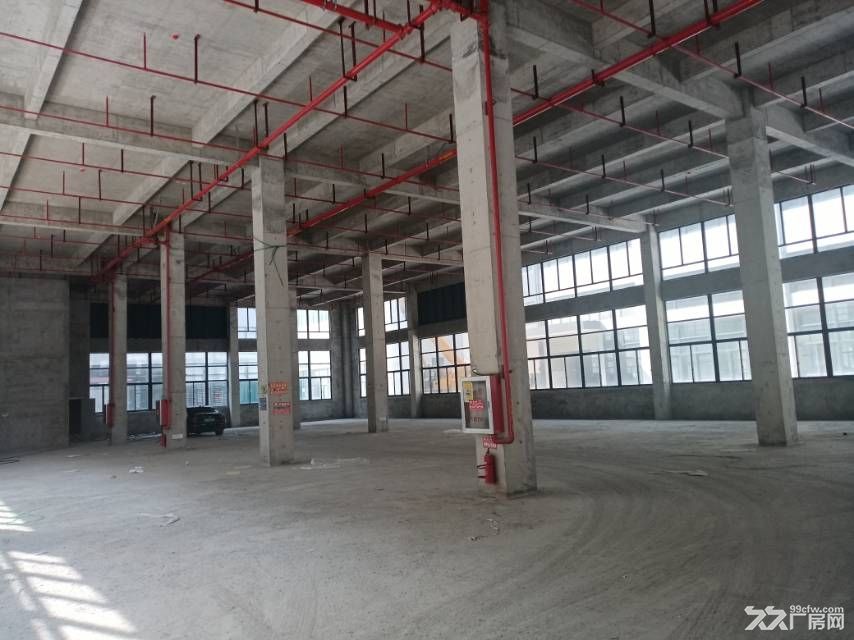 全新獨門獨院廠房出售 贈送花園 可按揭-圖(5)