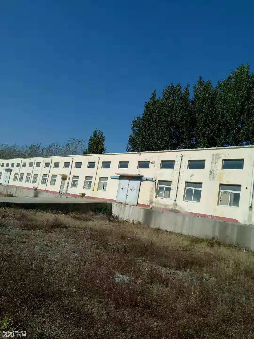 普灣新區炮臺長嶺村1500平廠房出租-圖(4)
