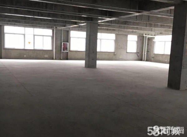 標準廠房,大小面積均有,房東直租-圖(1)