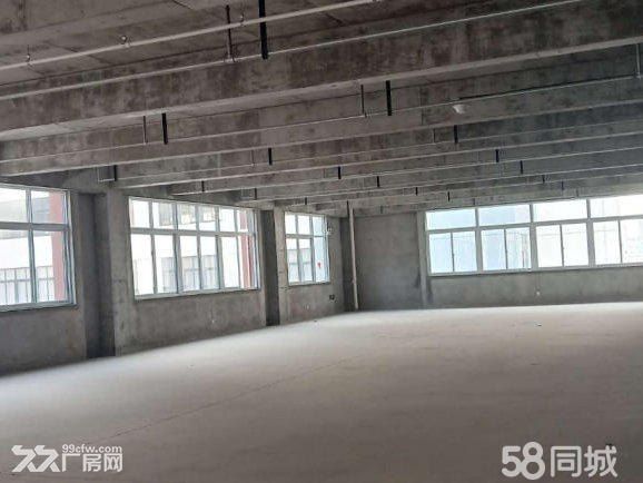 甲方直租,標準廠房,無中介費-圖(2)