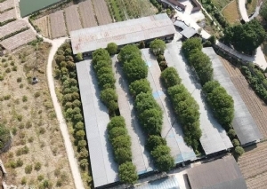 重慶市渝北區養豬場轉讓