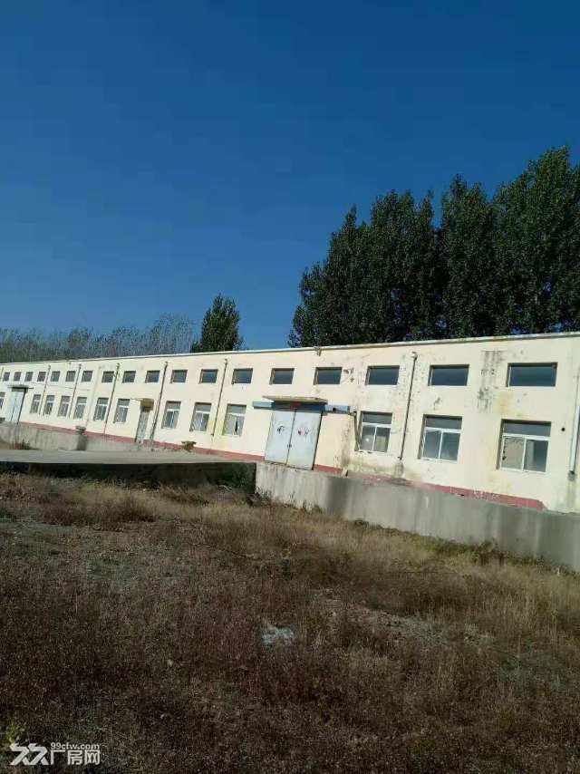 炮臺鎮(zhèn)長嶺村梁屯1500平倉庫出租-圖(3)