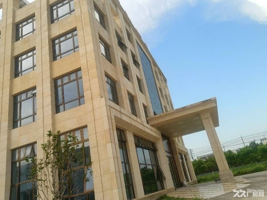 海安 獨門獨院 帶幾十畝空地-圖(2)