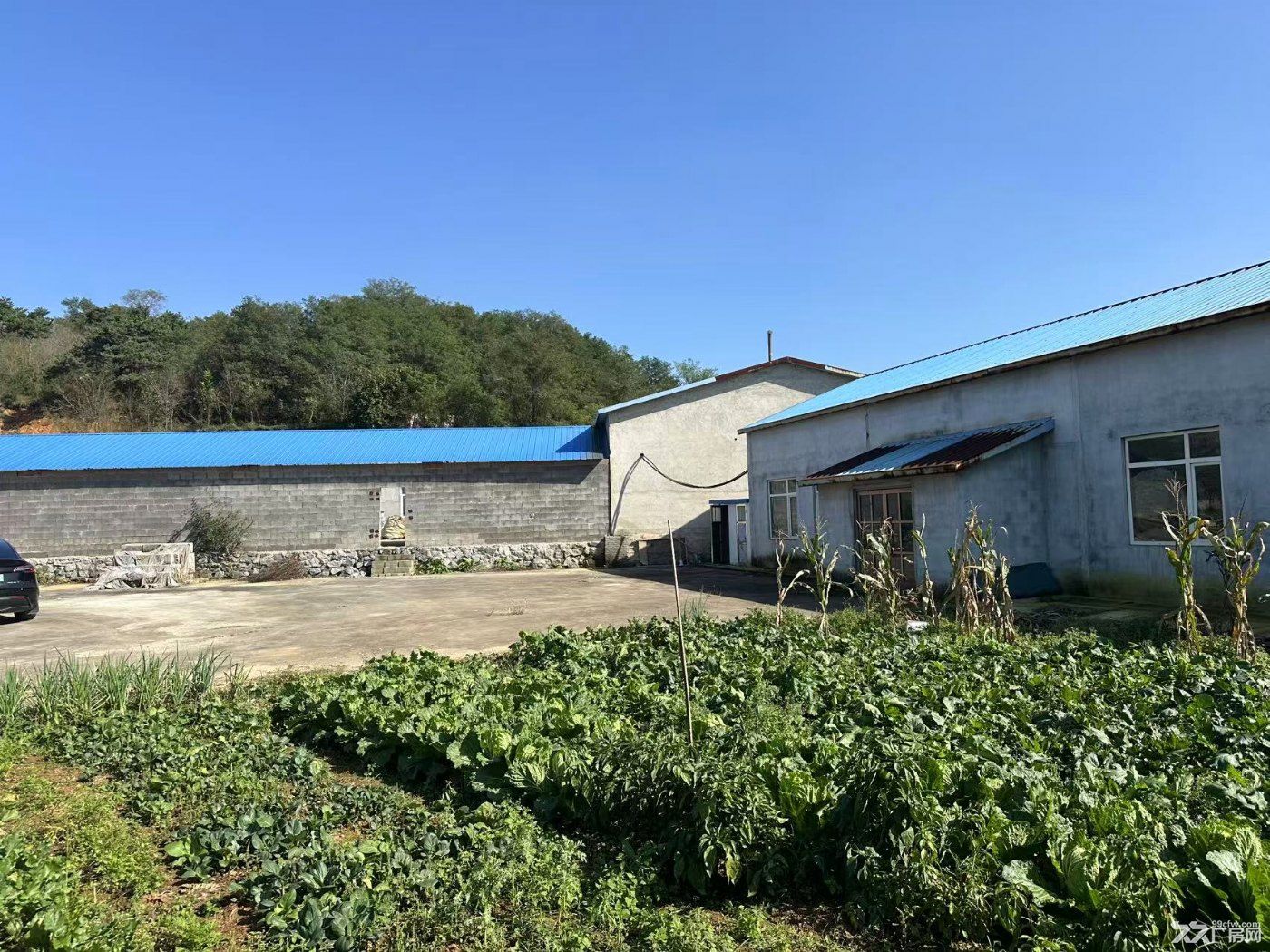 普蘭店區太平街道廟山嘉華山莊院內廠房出租-圖(2)