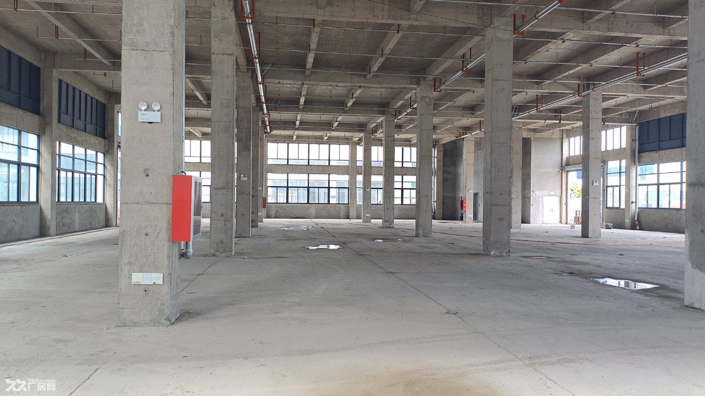 獨棟雙拼廠房面積1000-18000平-圖(5)