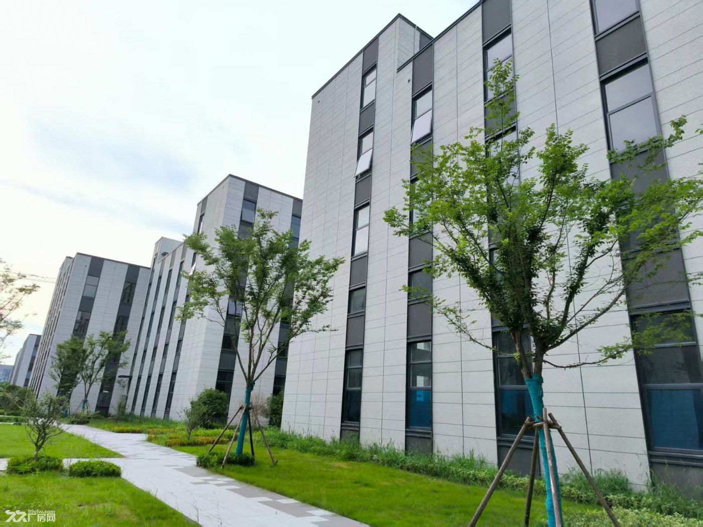 12米高鋼結構廠房出售 開發商一手房源 非中介 50年產權 低首付-圖(5)