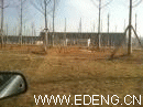 保稅區8850平重工廠房租售-圖(3)
